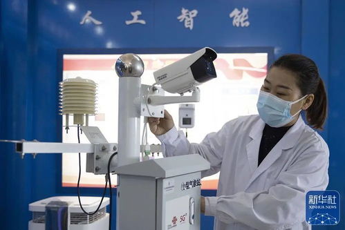 央媒看龍江 中國最北自貿(mào)區(qū)，數(shù)字經(jīng)濟與綠色科技雙引擎驅(qū)動發(fā)展